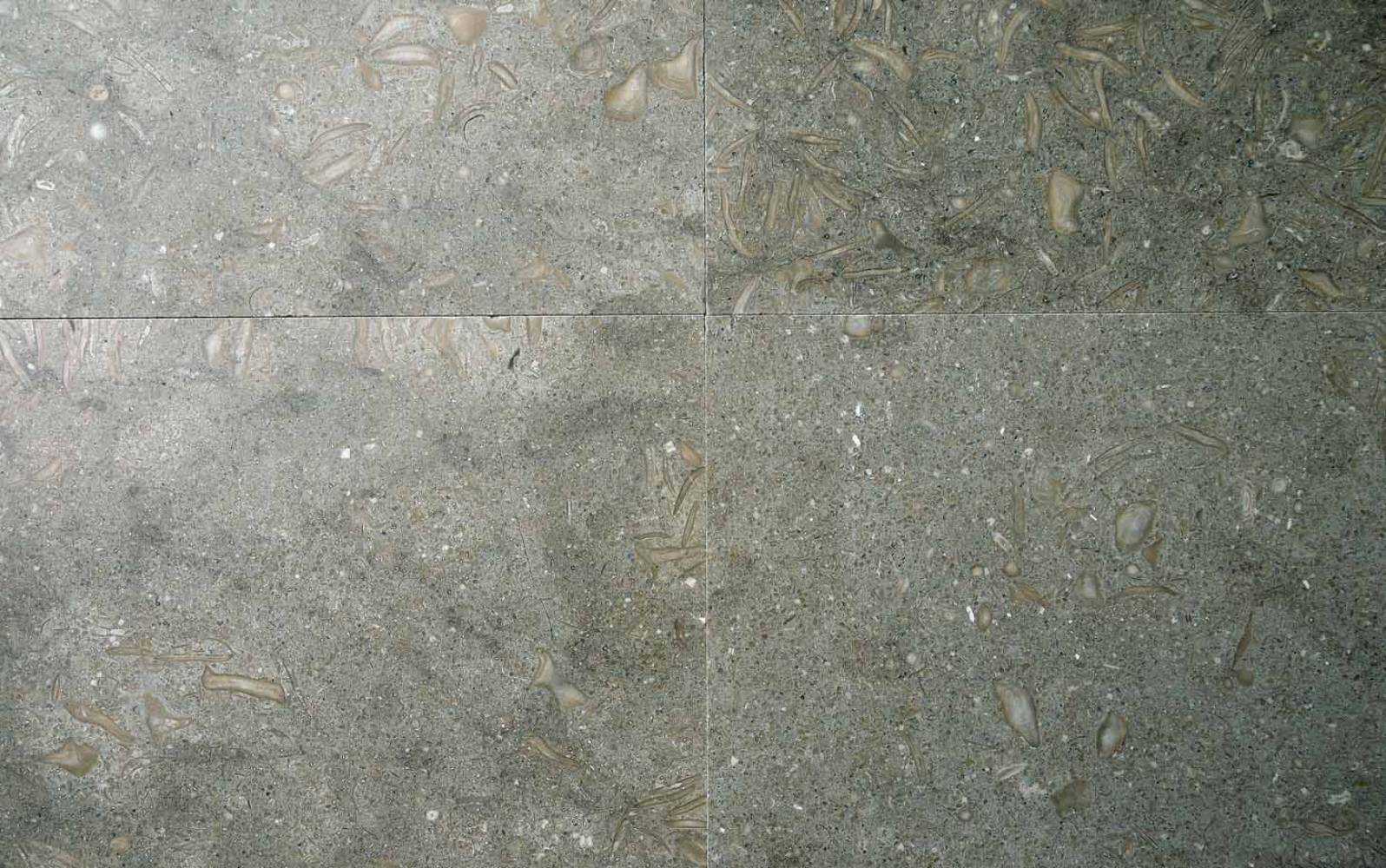 Kalkstein Fliesen Fossil Gr�n geschliffen 30 x 60 cm